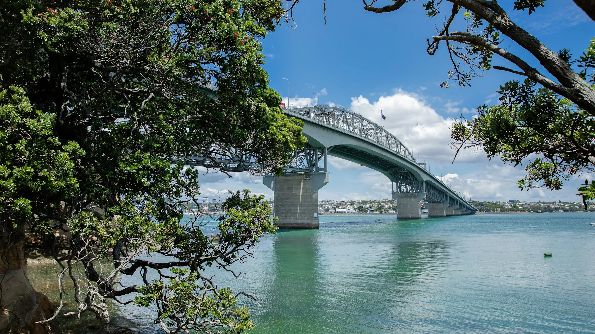 Auckland Harbour Bridge on a sunny day