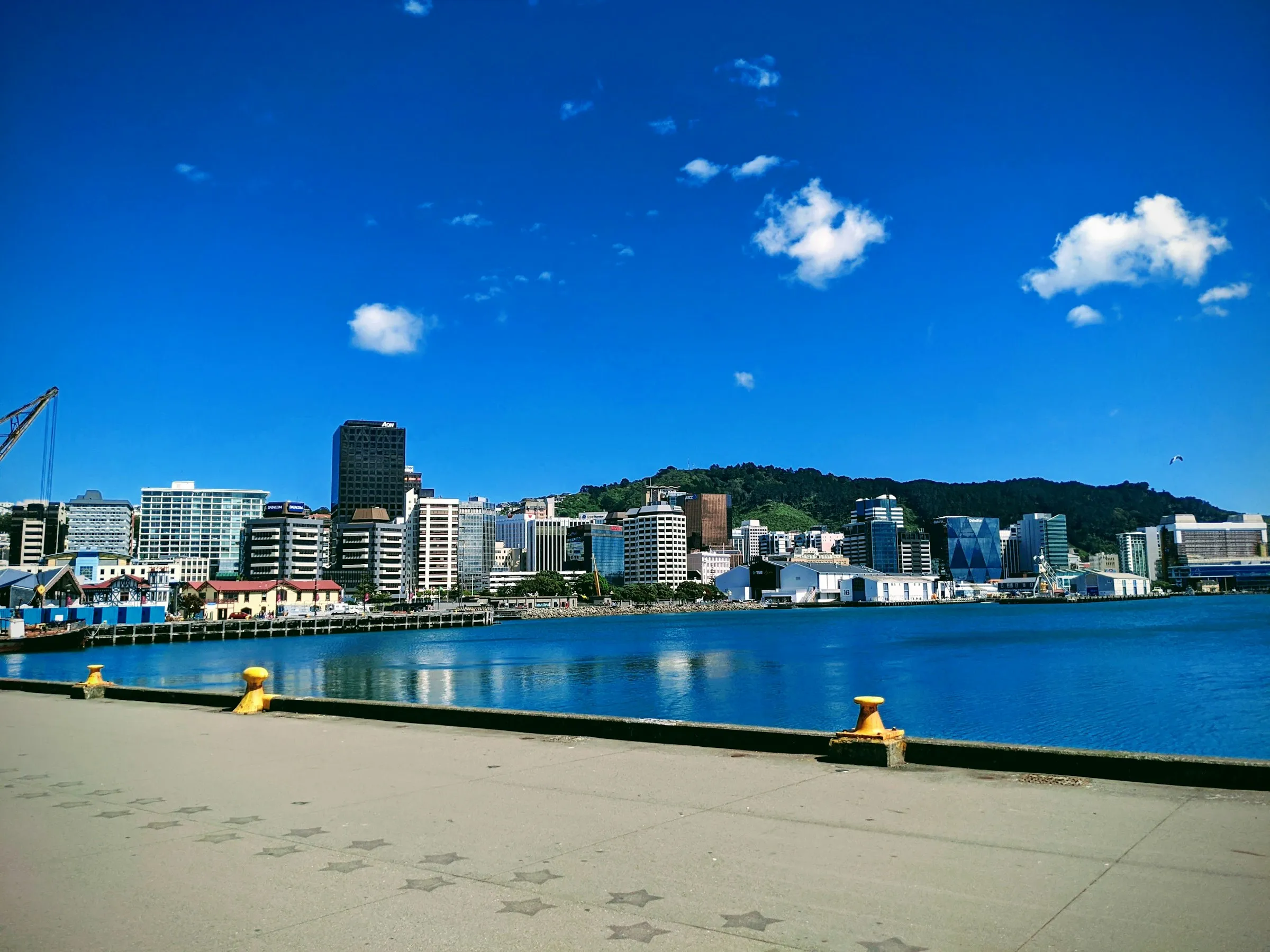 Wellington's waterfront on a bright blue day
